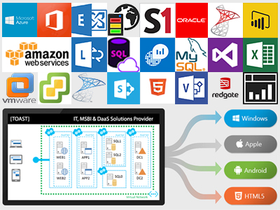 [TOAST] IT, MSBI & DaaS Solutions